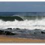 wave-img_1244-001.jpg