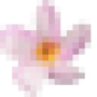 favicon.png